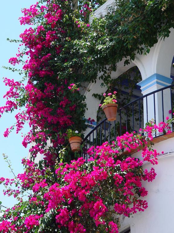 Pierre & Vacances Mojacar Playa Buitenkant foto